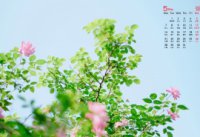 ​qq网名男生超拽霸气带符号、小新不用蜡笔了ゝ