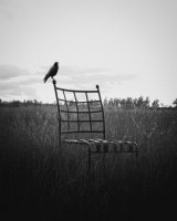 ​美女网名好听名字大全带符号的、﹎輓&tau;ā别弆