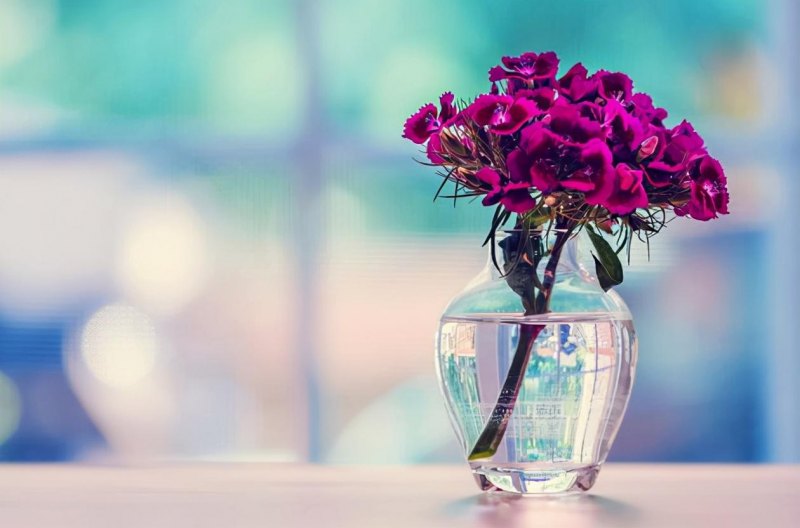 2023超好听的qq名字分享，独特霸气难忘的qq昵称-第3张图片-