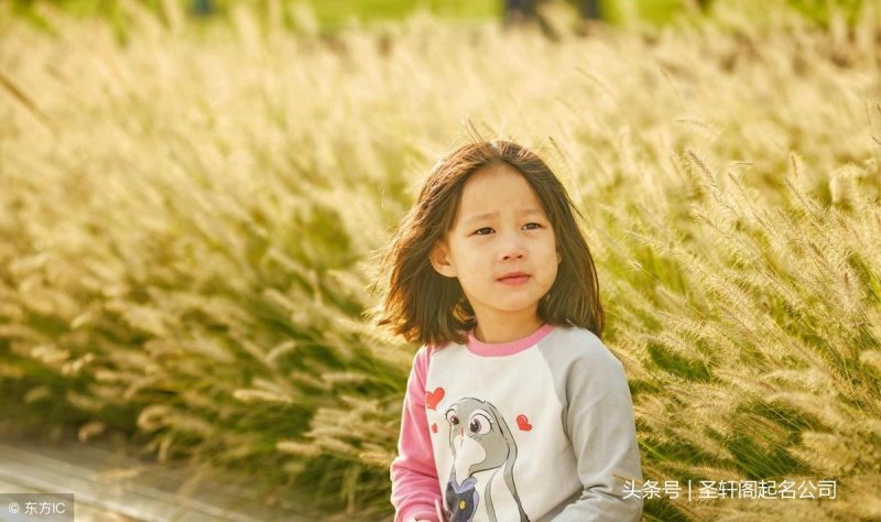 2023双胞胎女孩起名推荐，好听诗意大方洋气的名字-第3张图片-