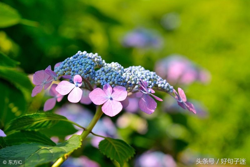 男人一生成熟稳重最吉利的网名分享，有品位有格局霸气的微信名字-第6张图片-
