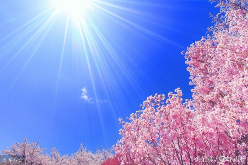 男人一生成熟稳重最吉利的网名分享，有品位有格局霸气的微信名字-第2张图片-