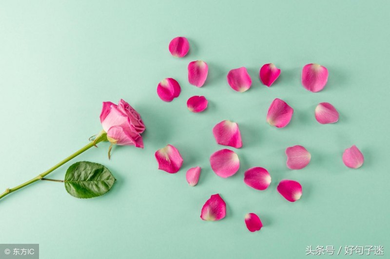 男人一生成熟稳重最吉利的网名分享，有品位有格局霸气的微信名字-第1张图片-