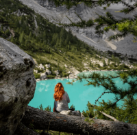 ​精致又短的表白情书 名人馆家族