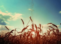 ​带自己名字的微博名