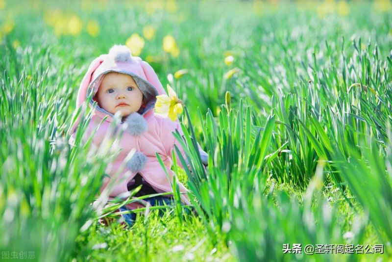 有涵养的牛年女孩取名大全2021，霸气高贵洋气典雅的名字分享-第1张图片-