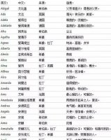 ​取名字时你在想什么英文(你的名字是谁取的英文)