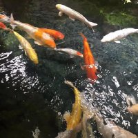 ​61个简短的英语qq名字精选，个性好听的的英文昵称