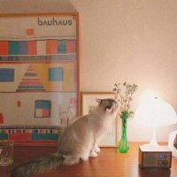 ​唯美好听的繁体字名字分享，好看 *** 版的繁体字网名