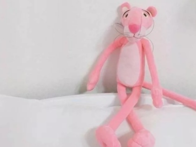 优雅又容易吸引人的微信名字分享，2023简单好记的微信昵称-第1张图片-