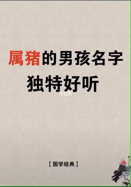 属猪男起什么名字？属猪男喜欢什么性格女人-第1张图片-