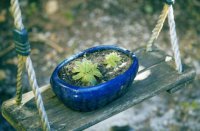 ​心态好格局大的女生微信名字大全，简单气质优雅好听的昵称