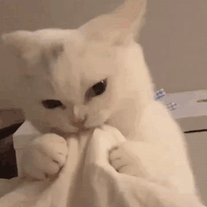 12对好听的情侣qq群名字推荐，霸气适合情侣的qq群名称-第3张图片-