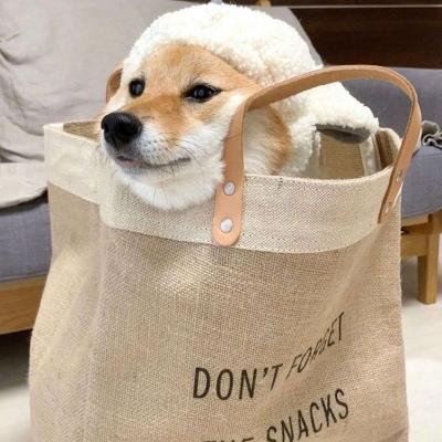 2022奇葩又好听搞笑的狗名字大全，沙雕嘻哈的狗狗名字分享-第2张图片-