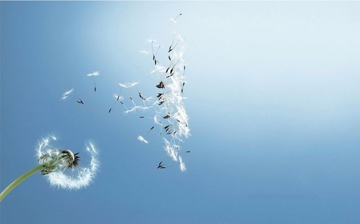 qq心情的句子80句