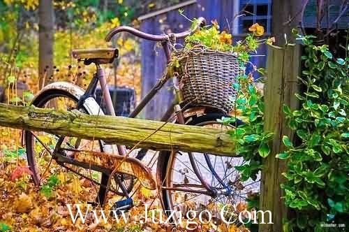 天天下雨烦死了的说说 天天下雨心情说说(精选76句)