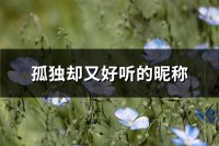 ​孤独却又好听的昵称(175个)