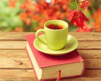 ​2字的伤感qq网名(精选240个)