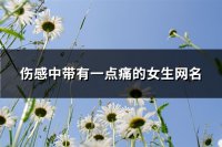 ​伤感中带有一点痛的女生网名(优选166个)