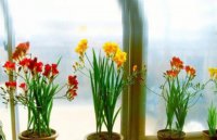 ​很拽的时尚网名女生要酷一点的_淡抹低调的伤