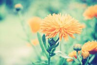 ​表现心情复杂的句子100句