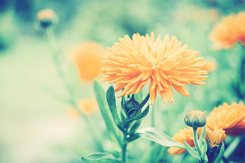 表现心情复杂的句子100句