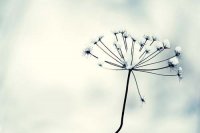 ​比较长的心情说说117句