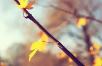 ​经典语录心情短语84句