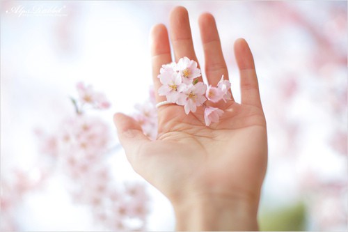 对2023说再见说说心情句子文案(精选87句)