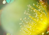 ​繁体符号伤感男生网名(共87个)