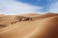 ​五月你好第一天心情唯美语录(精选97句)