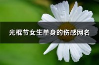 ​光棍节女生单身的伤感网名(108个)