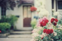 ​想念孩子的心情语录25句