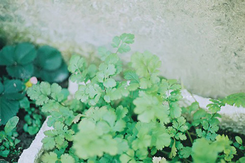 感冒不舒服心情说说80句