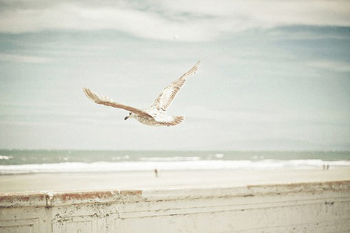 关于心情烦的句子82句