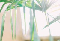 ​青春有朝气的网名