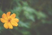 ​有关回忆的网名四个字