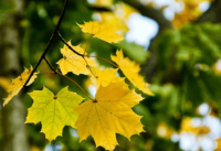 ​比较吸引人的女网名 <