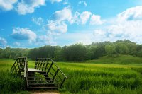 ​今天心情很好的句子35句