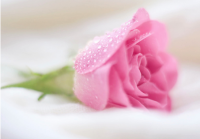 ​有文艺七夕的网名