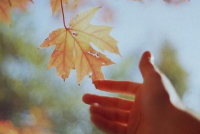 ​文雅的网名男生--&bull;&nbs