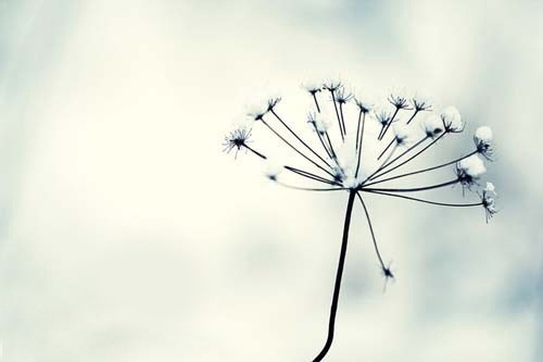 等待句子说说心情短语关于等待的句子(41句)