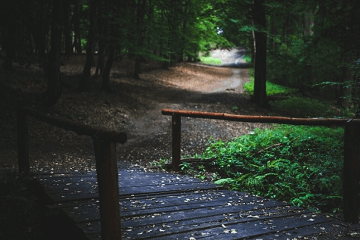 王者荣耀三人开黑名字大全