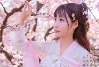 ​古典意境网名大全(共335个)