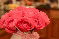 ​苍白了忧伤网名(62个)