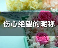 ​伤心绝望的昵称(精选76个)