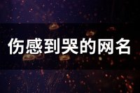 ​伤感到哭的网名(75个)