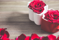 ​最新版个性超长网名合集(共1119个)