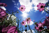 ​好听一点的微信名字(优选1678个)