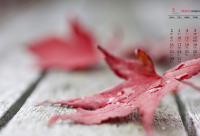 ​2023的网名(优选1730个)